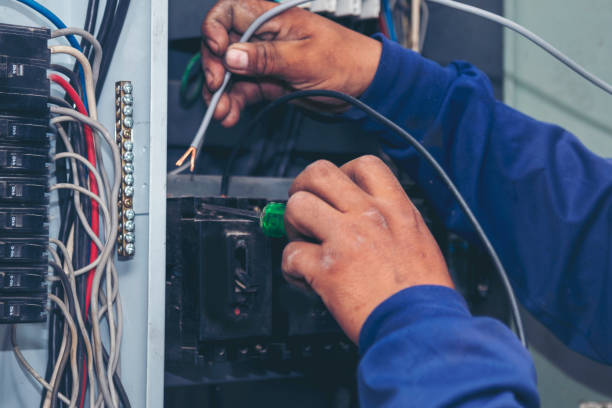 Best Electric Panel Repair  in Devola, OH